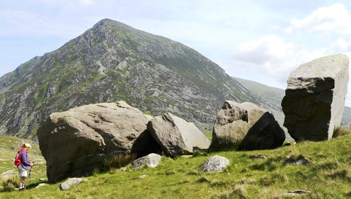 Fig. 2. Photograph of the ‘Darwin Idwal boulders’ as viewed looking towards the north east. Note how the left hand boulder (E) does not have the angularity of the others (A – D). Llyn Idwal is in the background.